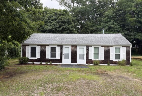 A row of small brown clapboard townhouses with white doors and shutters, set in front of a dense green tree line and a gray shingled roof behind them.