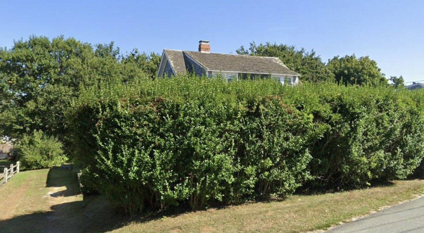 Tall dense green hedges block most of a suburban house, with only the roof and chimney visible above the greenery under a blue sky.